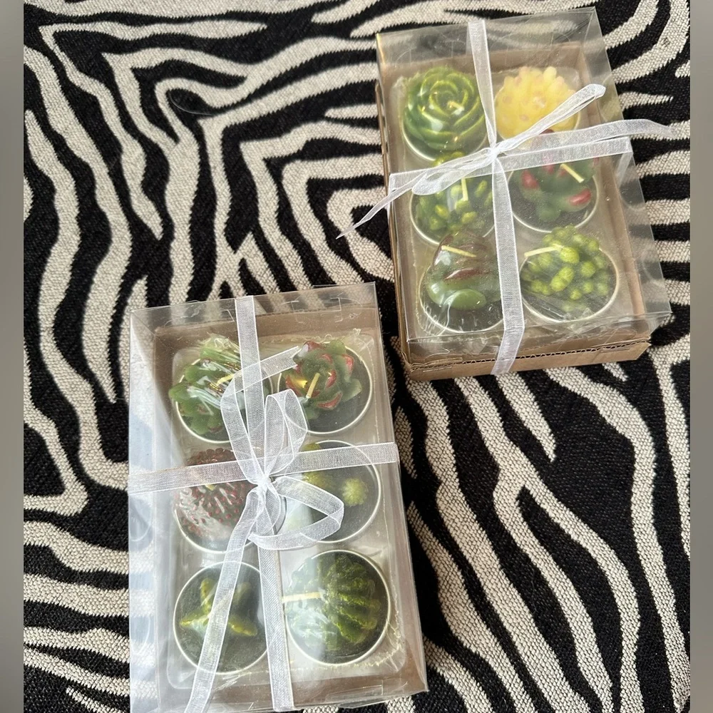 NWT - Succulent candles - Picture 1 of 4